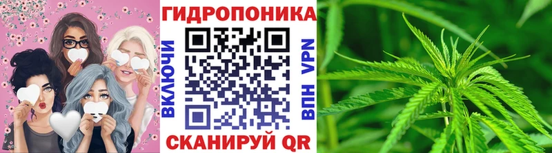 дарнет шоп  Шадринск  Бошки Шишки гибрид 